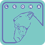 Logo Leona Games